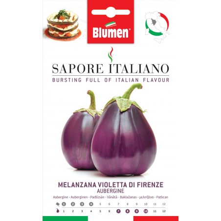 Melanzzani  / Aubergine "Violetta di Firenze" - Sapore Italiano