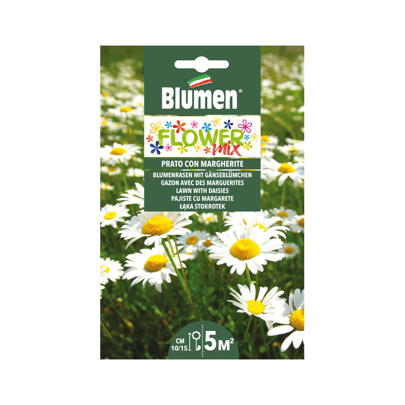Flower Mix- Blumenrasen mit Gänseblümchen
