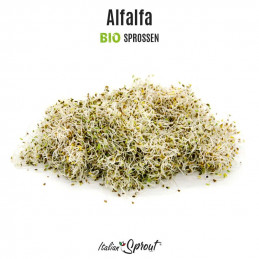 Alfalfa DEMETRA -Sprossen