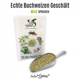 Buchweizen Grano Saraceno  SPHYNX BIO - Sprossen