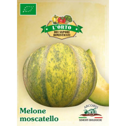 Moscatello-Melone
