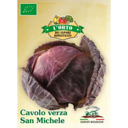 Rotkraut verza San Michele BIO Samen - Regionen Italiens