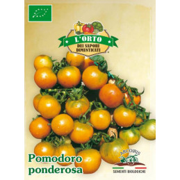 Gelbe Tomaten/ Paradeiser Ponderosa BIO Samen - Regionen Italiens