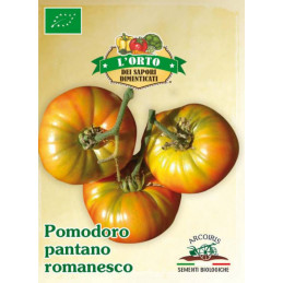 Gelbe Tomaten/ Paradeiser pantano romanesco - BIO