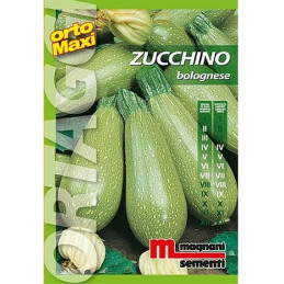 Grüne Zucchini "Bolognese"