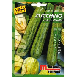 Zucchini "Striato d' Italia"