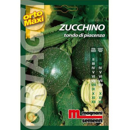 Zucchini "Tondo di Piacenza"