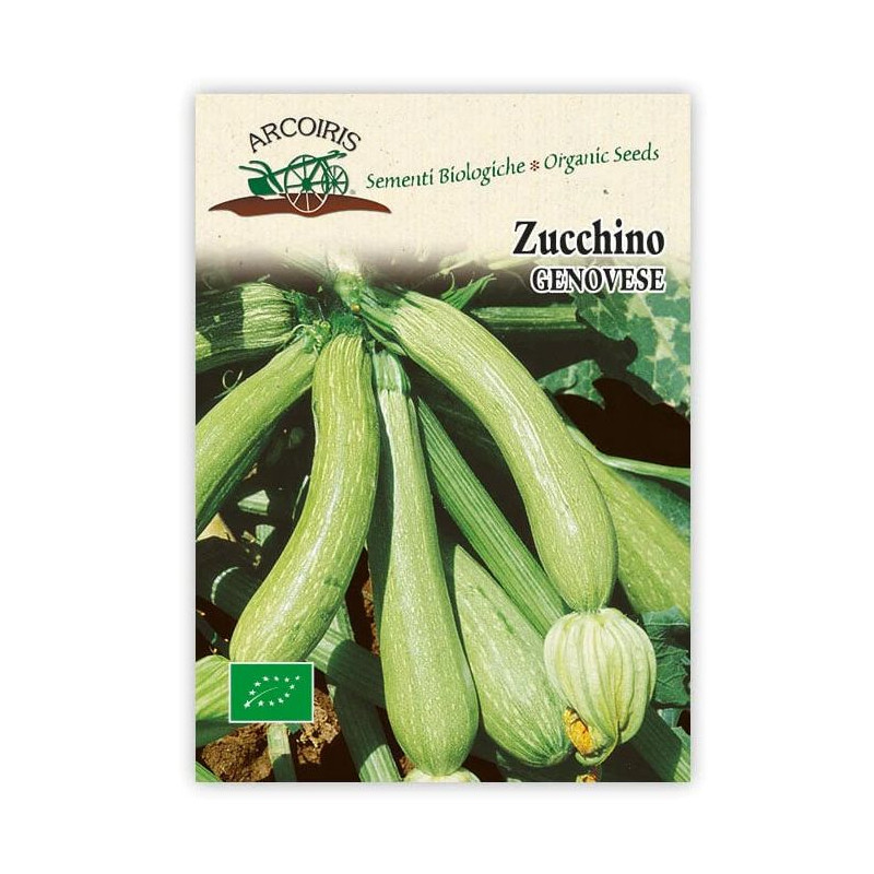 Zucchini Genovese-BIO Samen