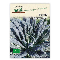 Cavolo Nero di Toscana - Toskanischer Schwarzkohl  BIO Samen - Regionen Italiens