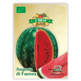 Wassermelone Anguria di Faenza BIO