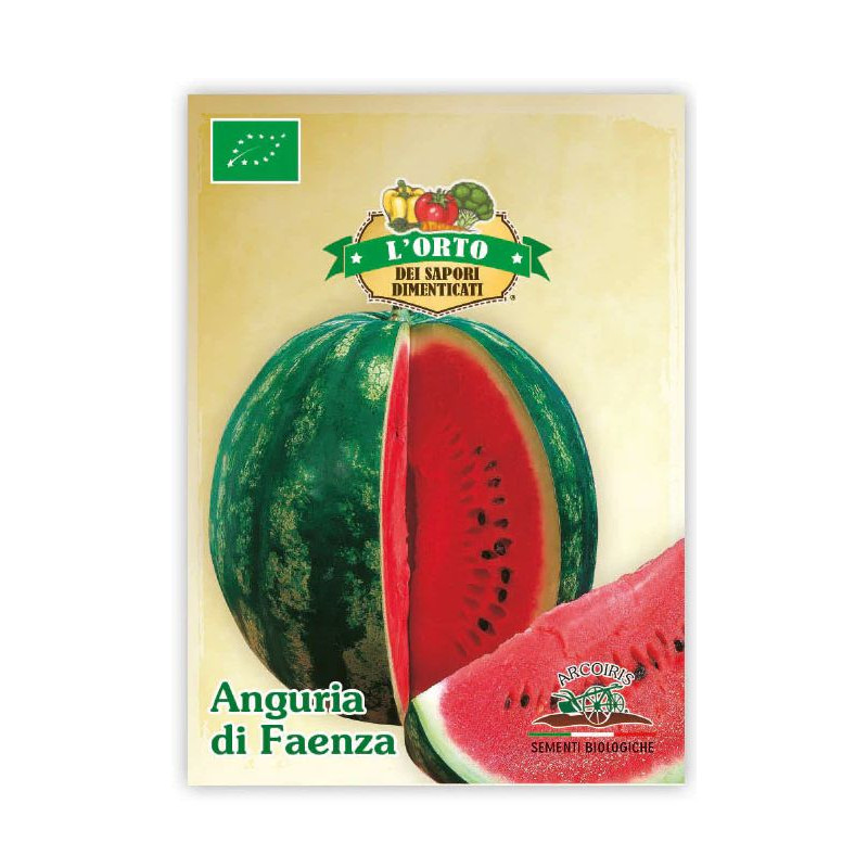 Wassermelone Anguria di Faenza BIO