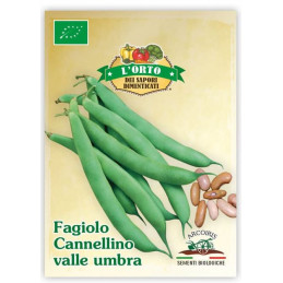 Bohnen  - Cannellino Valle Umbra  BIO -  Samen - Regionen Italiens