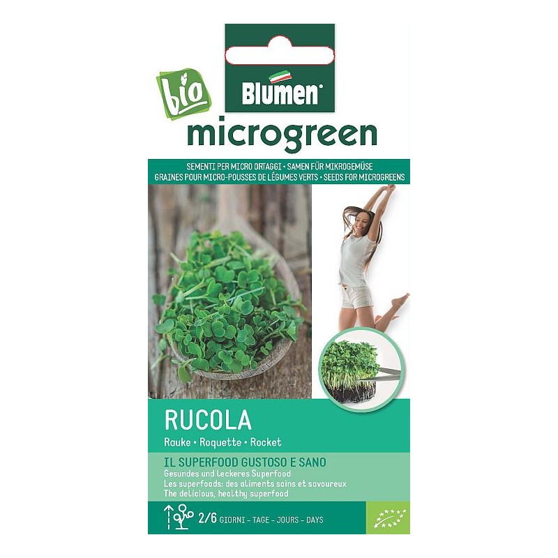Ruccola - Rauke - Microgemüse Ruccola - Rauke - Microgemüse