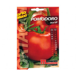  Tomate / Paradeiser Pomodoro Ace VF - Regionen Italiens
