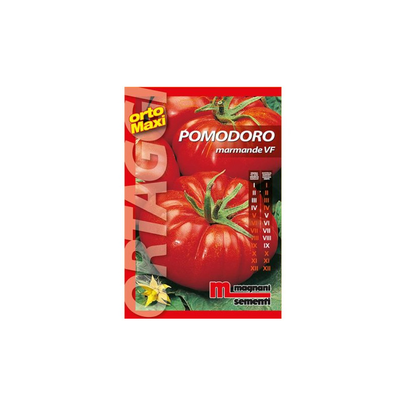 Tomate / Paradeiser Marmande VF