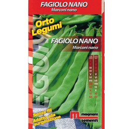  Busch-Bohnen Fagiolo nano Marconi - Regionen Italiens