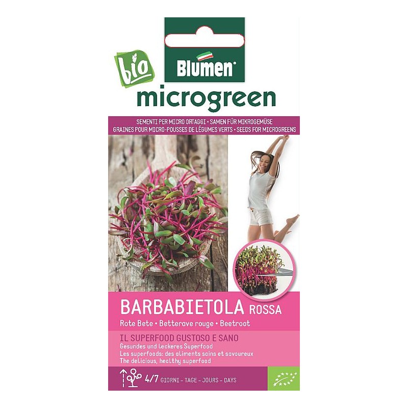 Rote Rüben/ rote Bete - Microgreen BIO Rote Rüben/ rote Bete - Microgreen BIO