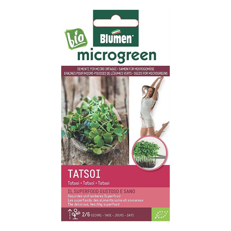 Tatsoi - Microgemüse BIO