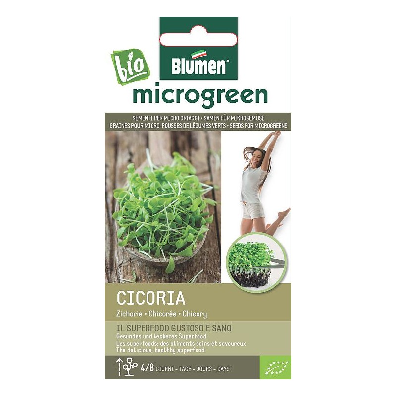 Chicorée Bio Microgreen