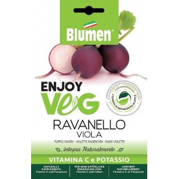 Enjoy Veg violette Radieschen Samen - Regionen Italiens