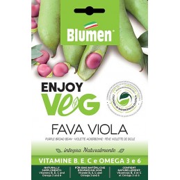 Enjoy Veg Violette Ackerbohne Fava Viola Samen - Regionen Italiens