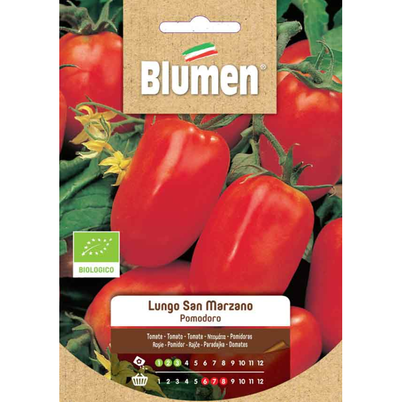Paradeiser / Tomaten Lungo San Marzano BIO Samen - Regionen Italiens Paradeiser / Tomaten Lungo San Marzano BIO Samen - Regionen Italiens