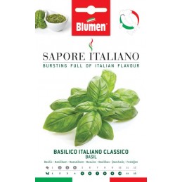 Basilicum Italiano Classicoaus der Region Ligurien - Vitamine