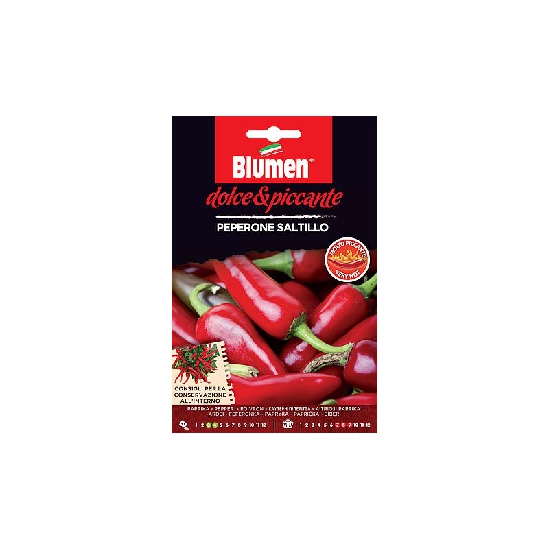 - Samenspezialitäten - Samenspezialitäten
