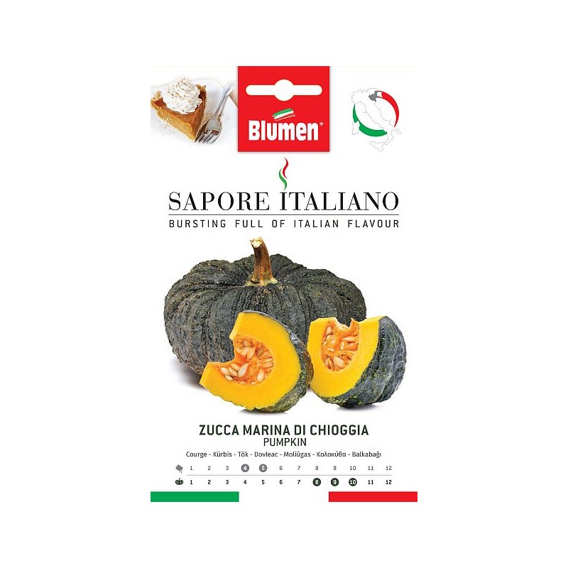 Grüne Zucchini Bolognese - Regionen Italiens Grüne Zucchini Bolognese - Regionen Italiens
