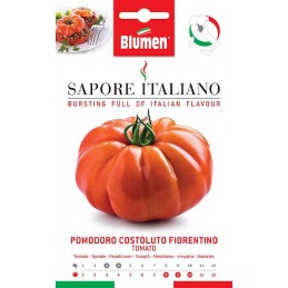 Tomate/ Paradeiser Costoluto Fiorentino