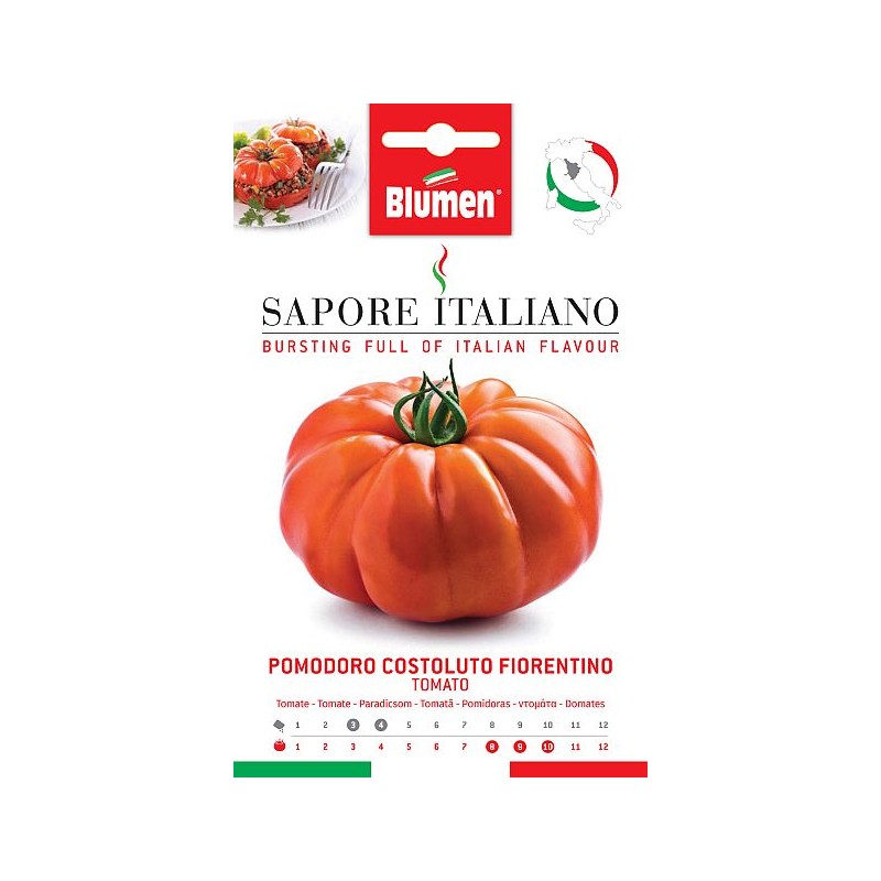 Tomate/ Paradeiser Costoluto Fiorentino