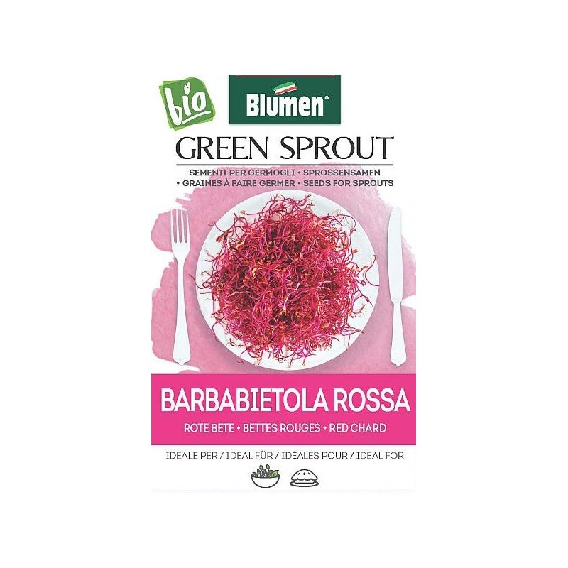 Rote Rüben-Rote Bete Sprossen - BIO Rote Rüben-Rote Bete Sprossen - BIO