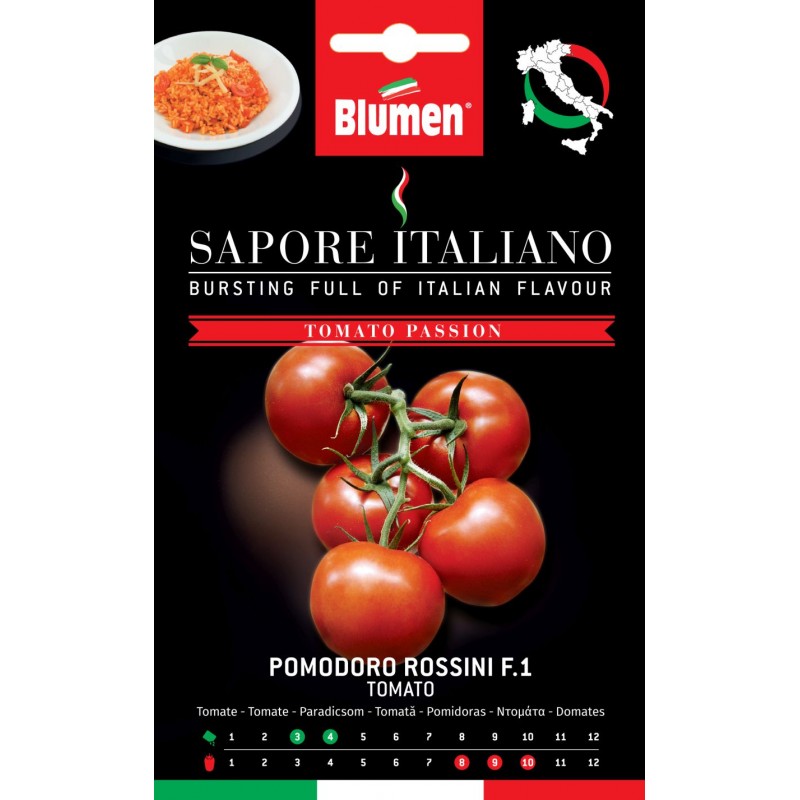 Rispentomate Rossini F.1 Wüchsig wachsende Sorte mit „Rispen” und glatten, roten Früchten. Ausgezeichneter Geschmack und