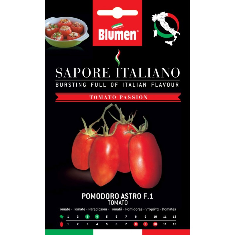 Tomate Astro F1 Kompakt wachsende Pflanze. Diese Sorte ist gut zum Schälen geeignet. Sehr produktiv, mit länglichen fest