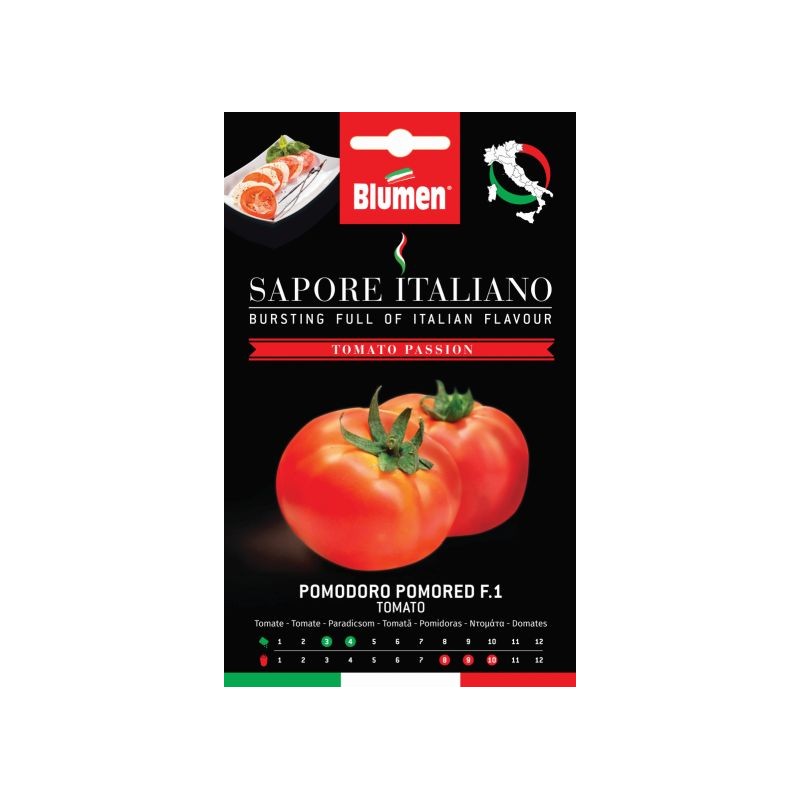 Tomate/Paradeiser Pomored F.1 Tomate/Paradeiser Pomored F.1