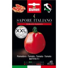 Tomate/Paradeiser "Battito"