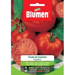 Tomate / Paradeiser "Tondo da Insalata"