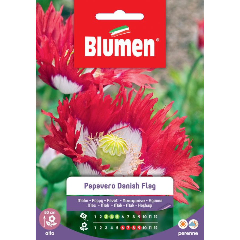 Mohn " Danish Flag"