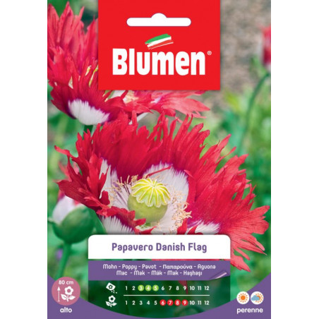 Mohn " Danish Flag"