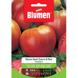 Pomodoro Senza Semi Cuore di Bue