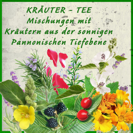 Santino Arte - dea  Orchideentöpfe mit Bewässerungssystem