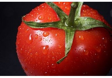 Tomaten